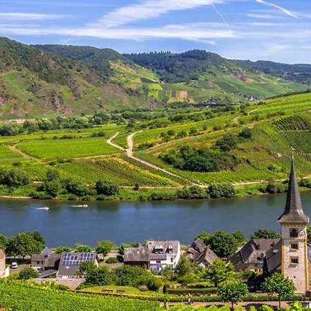 Apartment Mosel One Bremm